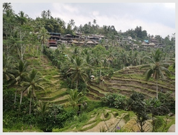 Ubud